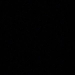 Meet your Posher, Janie